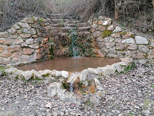 fuente_del_retamar_127026_512x384